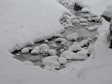 DSCN35951.jpg