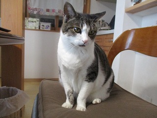 IMG_3219ss.jpg
