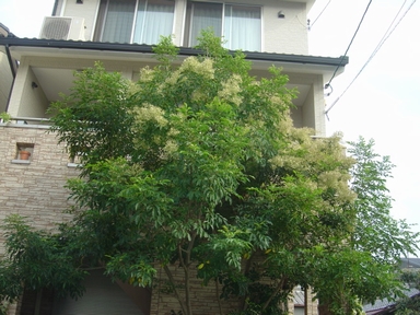 DSC02510.JPG
