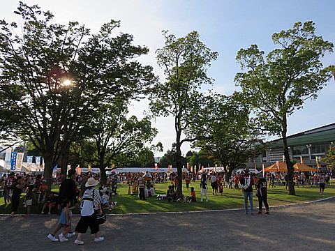 IMG_4930.jpg