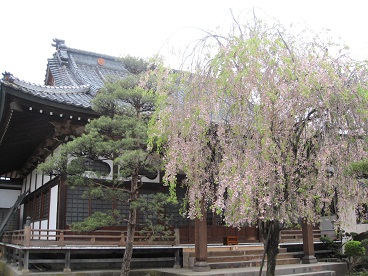 阿弥陀寺8.jpg