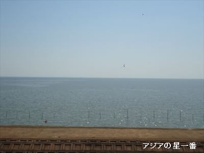 20160523 有明湾干潟8