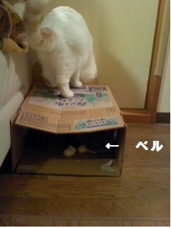 箱.jpg