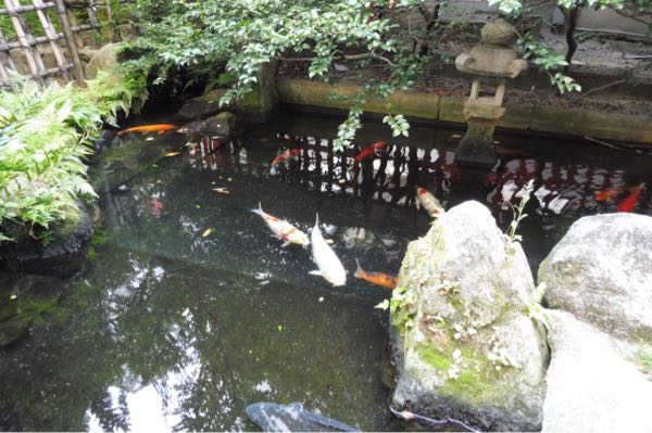 福岡の水鏡天満宮 ちりつも 私の運気上昇活動 楽天ブログ