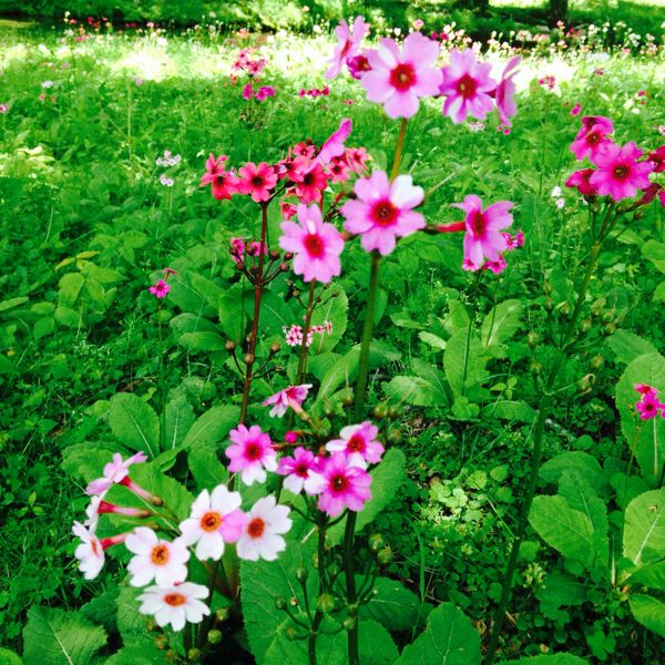 rblog-20140626121039-03.jpg