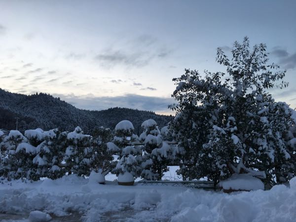 rblog-20180123075304-03.jpg