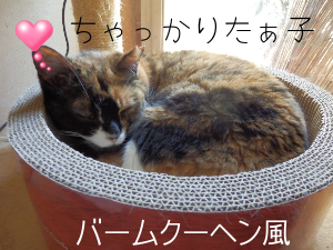 P6150059.png