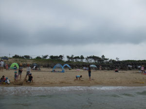 海岸2