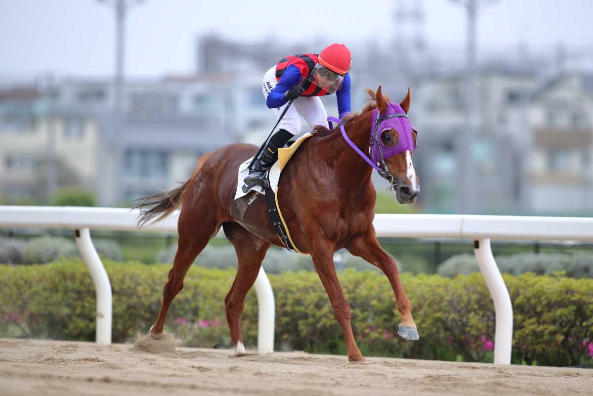 地方競馬通算3000勝を達成しました | 吉原寛人騎手公式ブログ ～ ひろ 