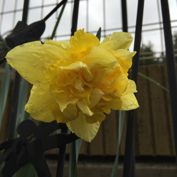 rblog-20150416015150-01.jpg