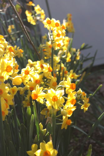 2015030103.JPG