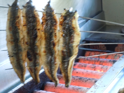 8 白焼き.JPG