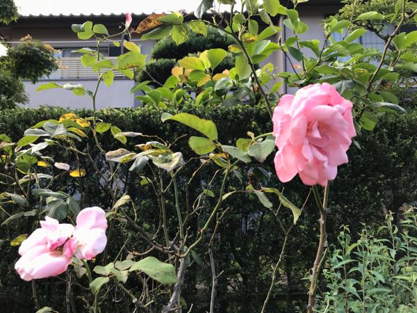 rblog-20180624181444-04.jpg
