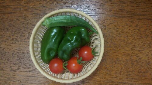rblog-20150802091610-01.jpg