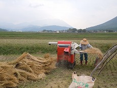 DSCN7409.jpg
