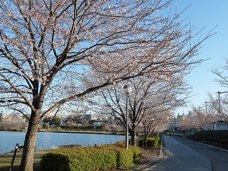 2013.3.26 013.JPG