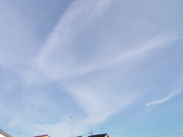 sora-2015-12-24-7.JPG