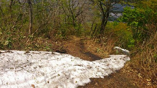 s-20140511薬莱山下山残雪.jpg