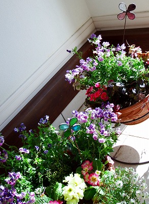 DSCF2262.jpg