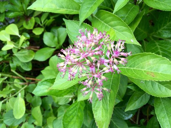 rblog-20160629201706-07.jpg