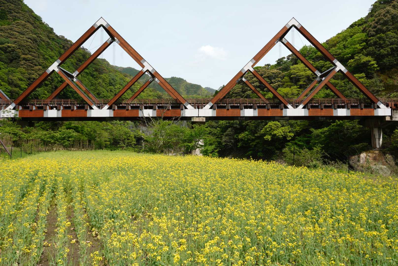 九州の旅_17日目 | E.R.中年おやじの気ままな日記 - 楽天ブログ