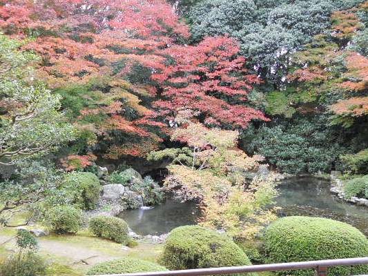 2015-11 随心院庭園池端の紅葉.jpg