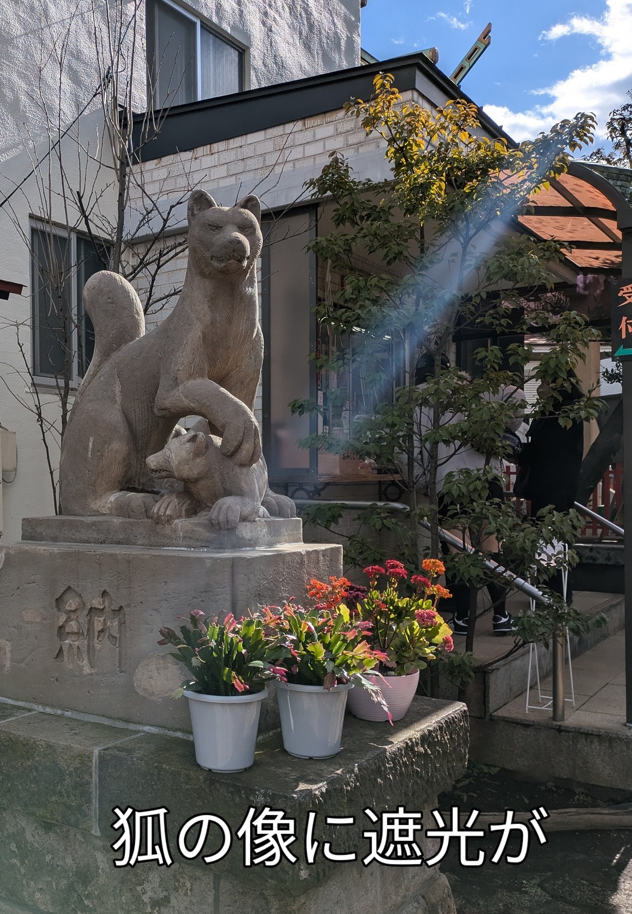 最高級のスーパー 皆中稲荷神社に参拝 狐の像に遮光が 江戸幕府鉄砲隊百人組行列 袈裟・略肩衣