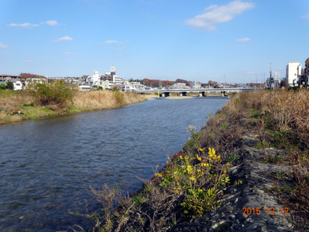 浅川橋上流.jpg