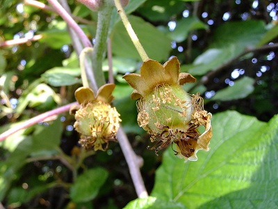 DSCF0879.jpg