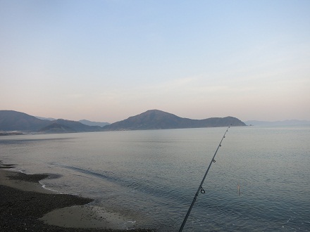 IMG_5490.jpg