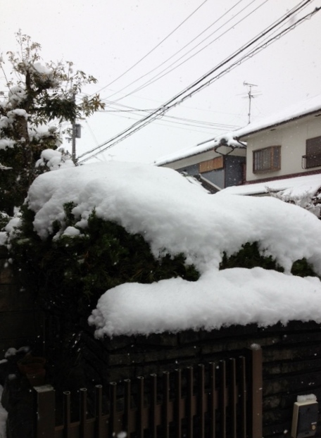 大雪警報発令中