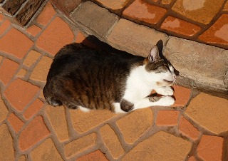 P1160997-ass.jpg
