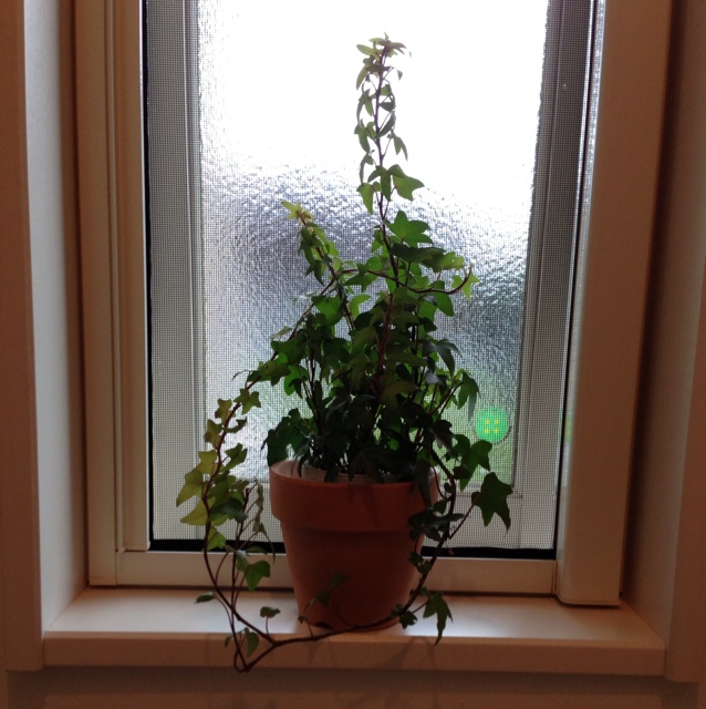 rblog-20130609103946-01.jpg
