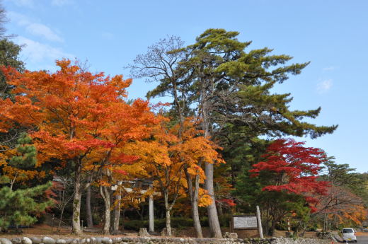 寺家公園