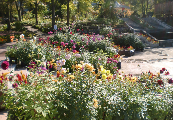 花の文化園2.jpg