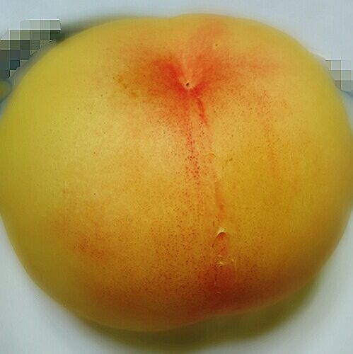 rblog-20160806225431-00.jpg