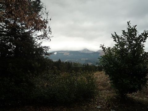 P1080225.JPG