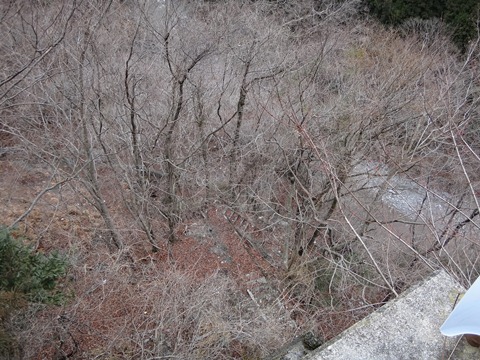 DSC00059 2.jpg