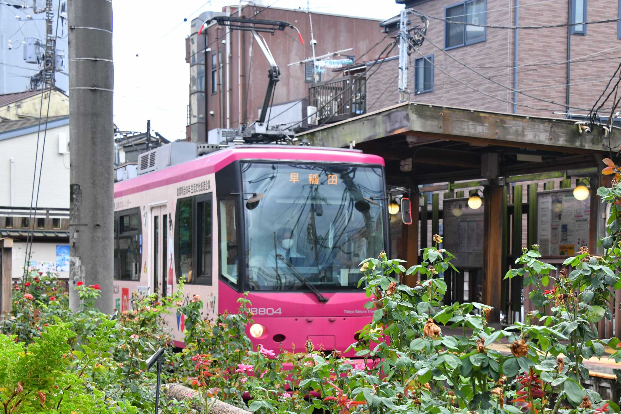 都電三ノ輪橋駅 2023夏 | うなきちrail - 楽天ブログ