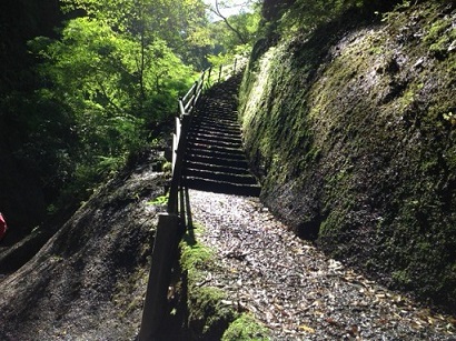kaidann