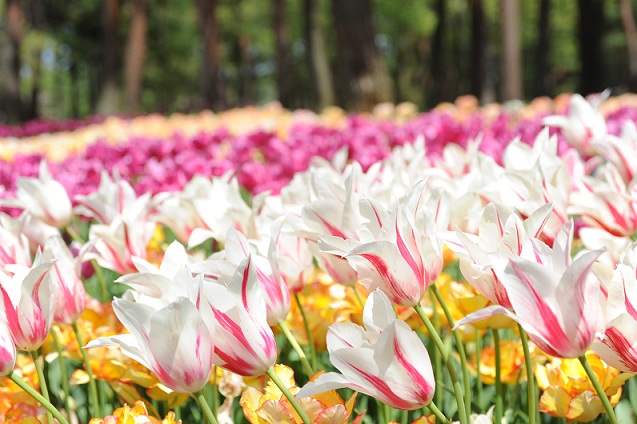 2013.4.26 069.JPG