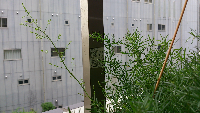 rblog-20130716132445-01.png