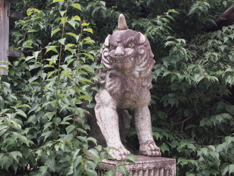 吽形狛犬・角がある　北野