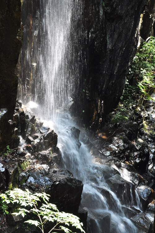 滝２