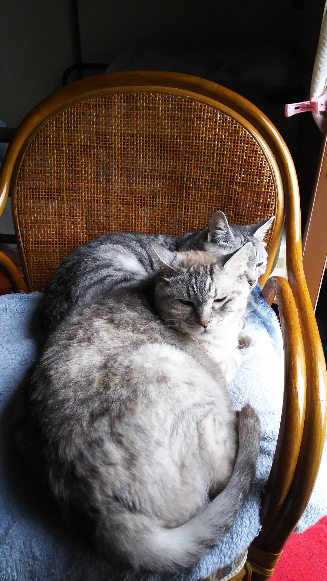 DSC_0492.JPG