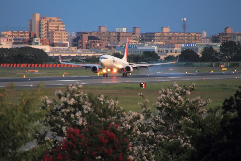 大阪空港スカイパーク_008着陸.jpg