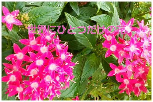 rblog-20161010232624-00.jpg