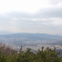 ３月１１日分 005.jpg