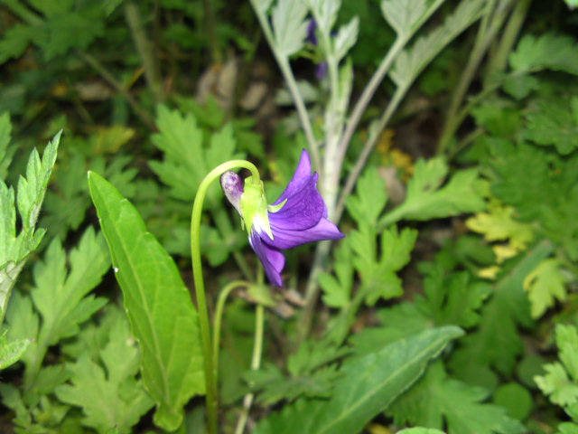 2012-05-09 12:18:48