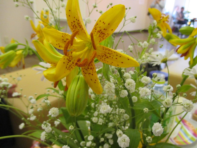 百合似花